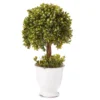 Topiary In Ceramic Pot 2 Topiary In Ceramic Pot -Big Lots Shop 810498553