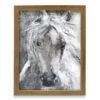 White Horse Framed Plaque -Big Lots Shop 810515621