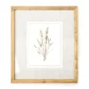Botanical Linen Framed Print 9 Botanical Linen Framed Print -Big Lots Shop 810540303