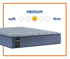 Broyhill By Sealy Galveston Medium Tight Top Mattress -Big Lots Shop 810548958 3