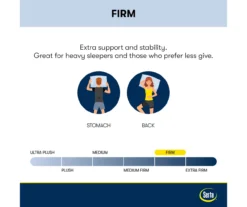 Broyhill By Serta Perfect Sleeper Springdale Firm Pillow Top Mattress -Big Lots Shop 810551600 810551599 M8 2 1