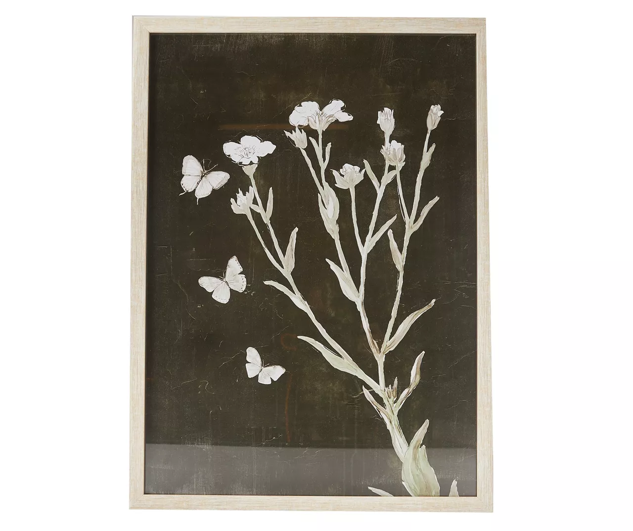 Black & White Butterfly Botanical Framed Art Print 1 Black & White Butterfly Botanical Framed Art Print