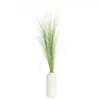 5' Grass In White Embossed Pot
