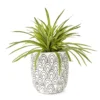 Grass In Arch Pattern Pot -Big Lots Shop 810553579