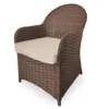 Broyhill Autumn Cove All-Weather Wicker Cushioned Patio Captain's Dining Chair 4 Broyhill Autumn Cove All-Weather Wicker Cushioned Patio Captain's Dining Chair -Big Lots Shop 810554526