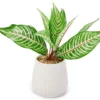 Green Artificial Leafy Arrangement With White Ridged Ceramic Pot 5 Green Artificial Leafy Arrangement With White Ridged Ceramic Pot -Big Lots Shop 810561038