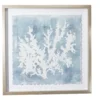 Blue & White Abstract Coral Framed Wall Art 7 Blue & White Abstract Coral Framed Wall Art -Big Lots Shop 810561162