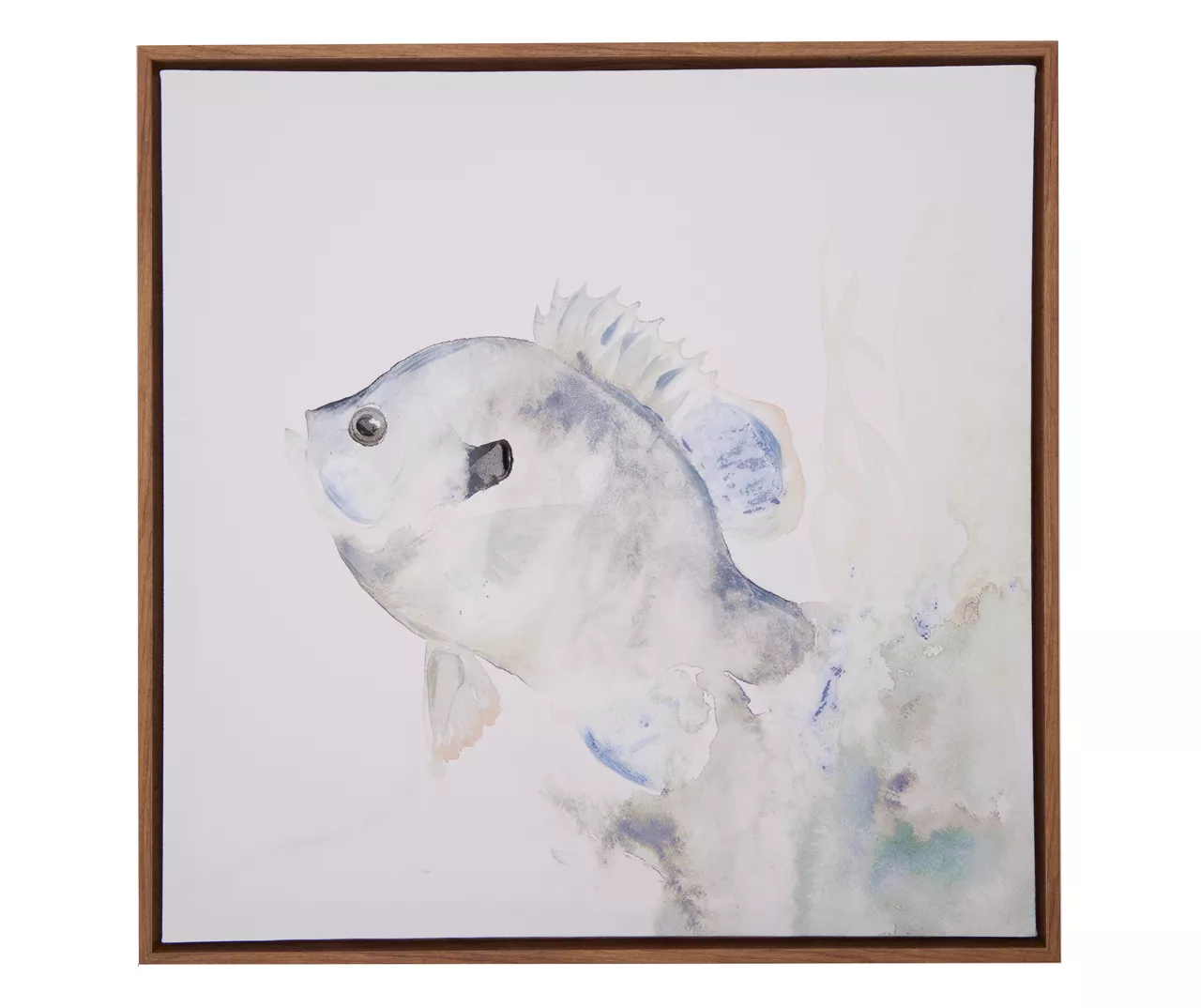 Blue & Brown Fish 2 Framed Canvas 1 Blue & Brown Fish 2 Framed Canvas