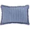 Arbor Blue Fringe-Trim Throw Pillow 6 Arbor Blue Fringe-Trim Throw Pillow -Big Lots Shop 810565457 A0 1