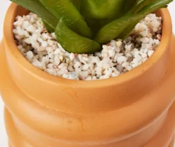 Wild Sedona Artificial Succulent In Orange Ribbed Cement Pot 3 Wild Sedona Artificial Succulent In Orange Ribbed Cement Pot -Big Lots Shop 810601628 A8 2