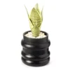 Wild Sedona Artificial Succulent In Black Ribbed Cement Pot -Big Lots Shop 810601867 A0 1