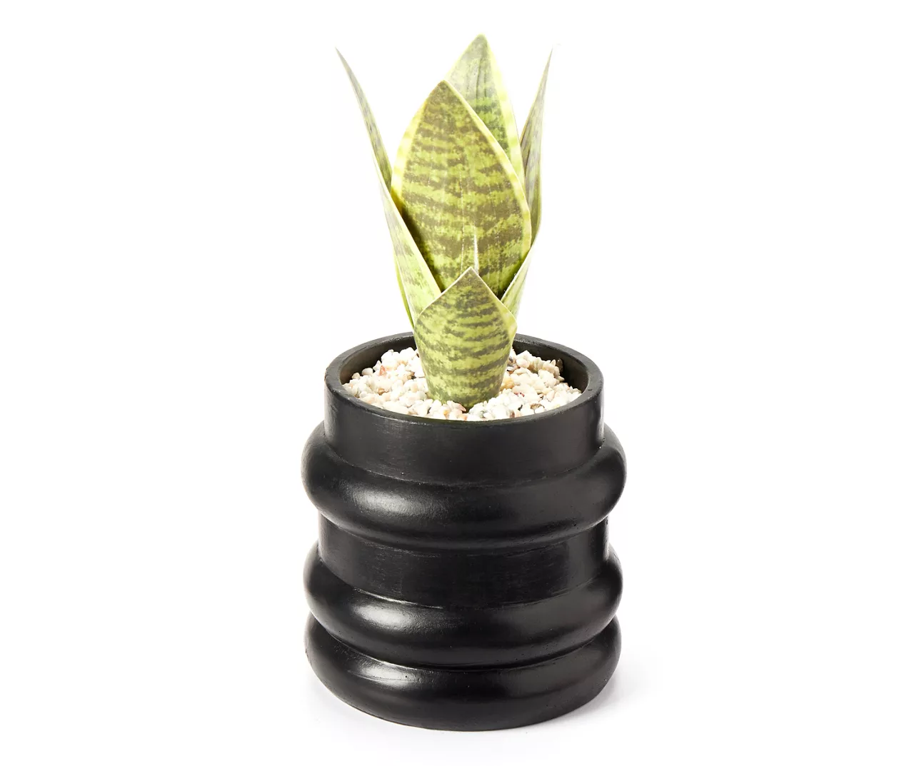 Wild Sedona Artificial Succulent In Black Ribbed Cement Pot 1 Wild Sedona Artificial Succulent In Black Ribbed Cement Pot