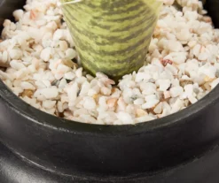 Wild Sedona Artificial Succulent In Black Ribbed Cement Pot 3 Wild Sedona Artificial Succulent In Black Ribbed Cement Pot -Big Lots Shop 810601867 A8 2