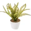 Artificial Fern In White Round Ceramic Pot 7 Artificial Fern In White Round Ceramic Pot -Big Lots Shop 810603843 A0 1