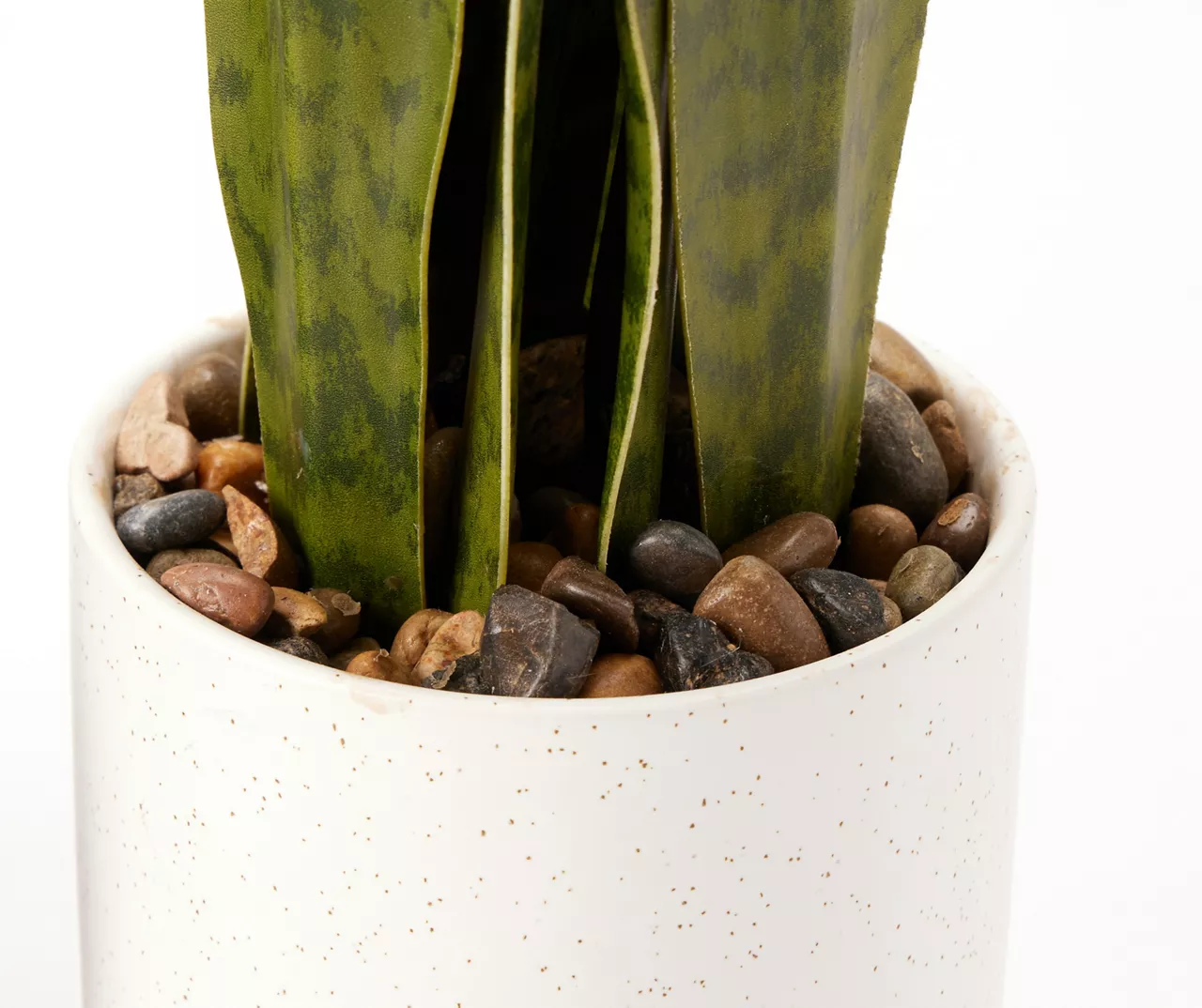 Wild Sedona Artificial Snake Plant With White Ceramic Pot 2 Wild Sedona Artificial Snake Plant With White Ceramic Pot - Image 2