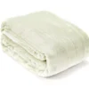 Sage Twin/Full Plush Velvet Blanket 11 Sage Twin/Full Plush Velvet Blanket -Big Lots Shop 810609057 810609055 A0 2 1