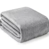 Gray Queen/King Plush Velvet Blanket 10 Gray Queen/King Plush Velvet Blanket -Big Lots Shop 810610368 810609899 A0 1 1