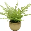 Homeward Artificial Greenery In Gold Cement Pot 5 Homeward Artificial Greenery In Gold Cement Pot -Big Lots Shop 810620678 A0
